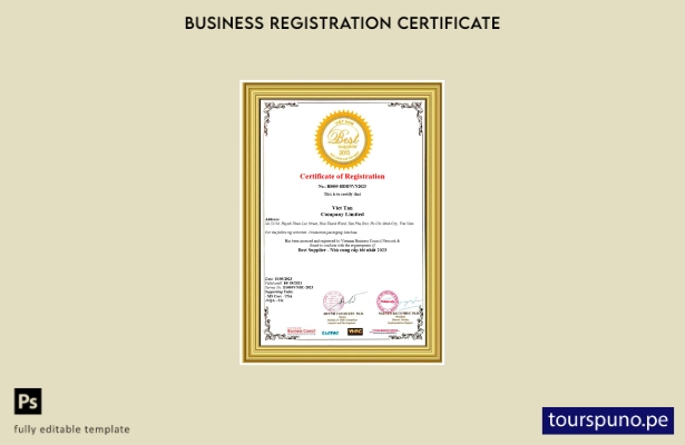 listo para imprimir Certificado de registro de Vietnam Plantilla de plantilla en
